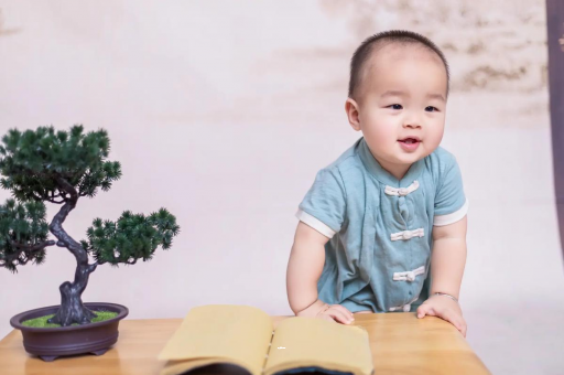 南昌可爱的企鹅宝宝